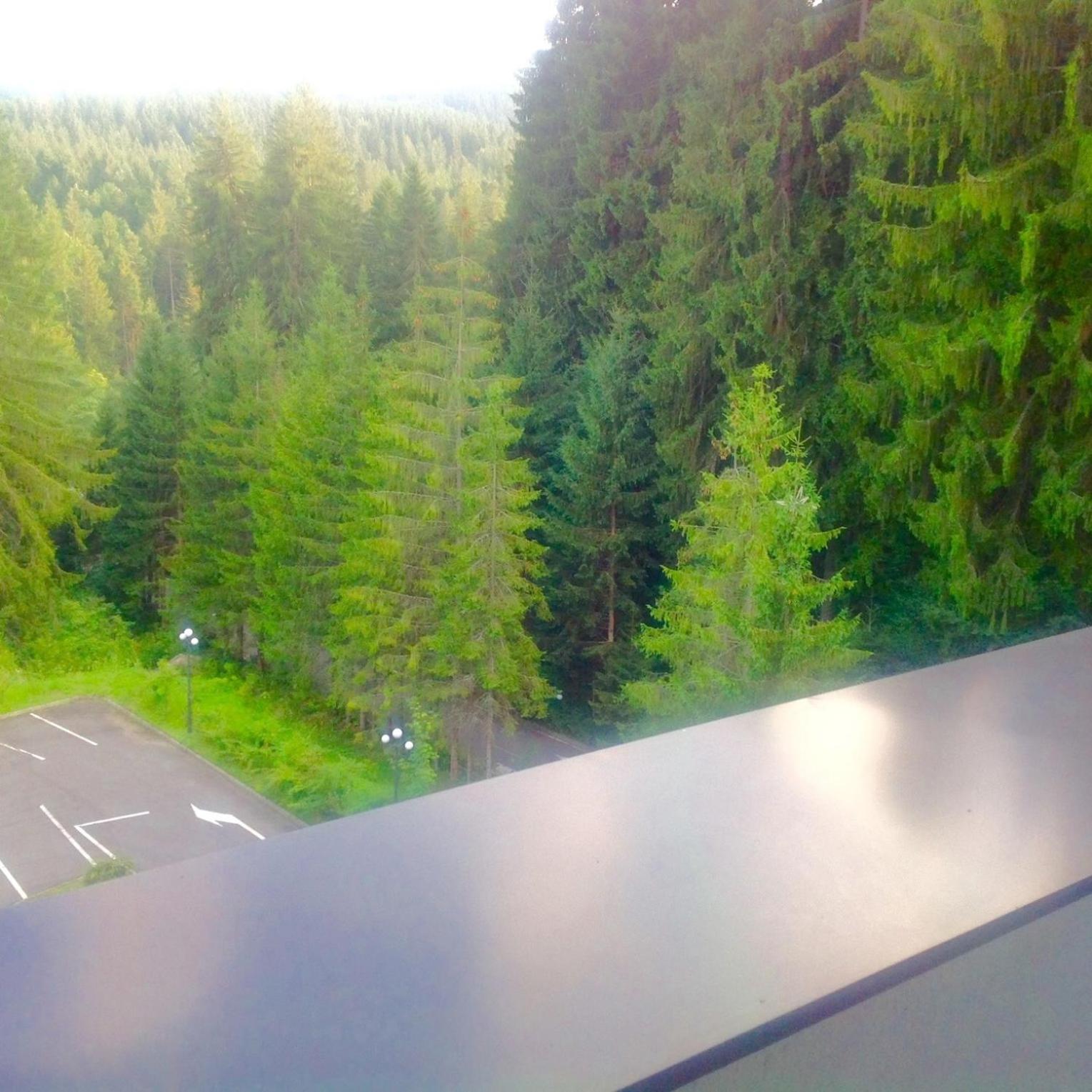 Hotel Hart Predeal Bagian luar foto
