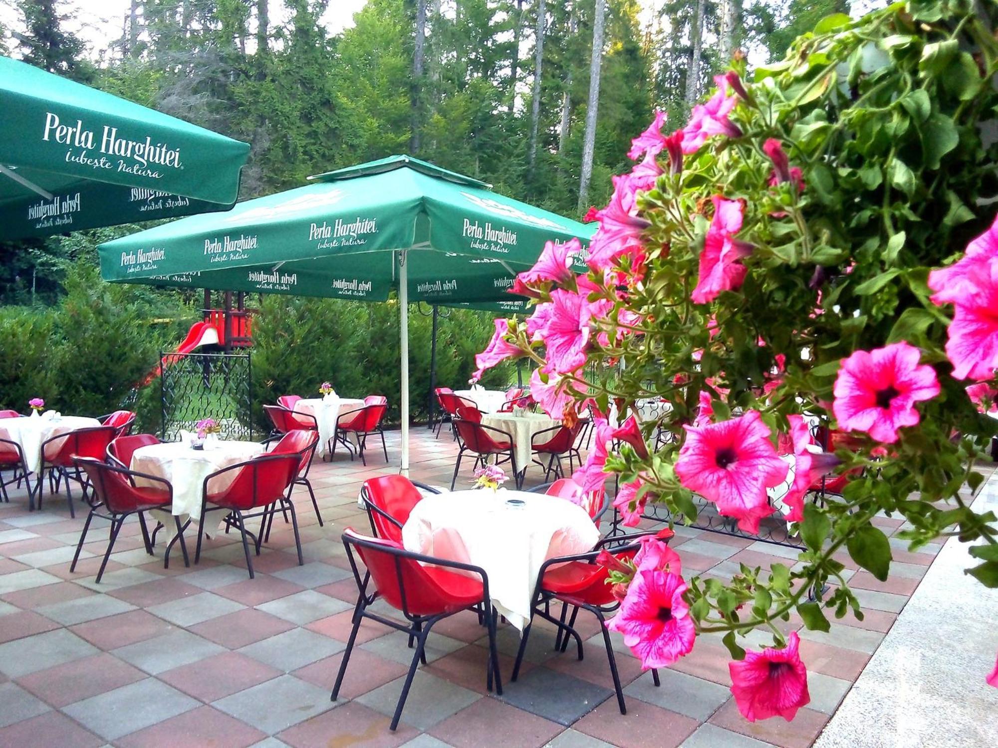 Hotel Hart Predeal Bagian luar foto